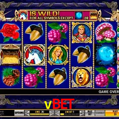 Descubra o Mundo do Cassino Online com vbet